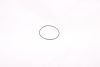 O-Ring for end cap