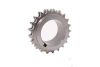Crankshaft sprocket