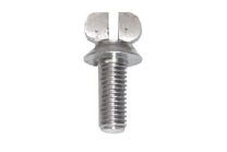 Body screw