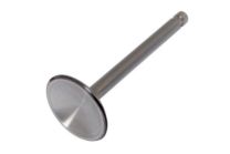 Inlet & Exhaust Valve