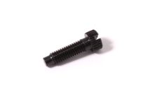 Throttle stop screw