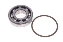 Ballrace for input shaft