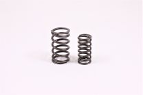 Valve spring pair