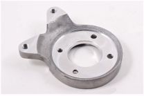 Caliper mount LH