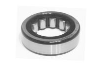 Shuttle shaft roller bearing